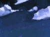 Scene02_Cliff001