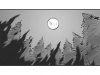 everlight_022
