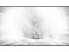 everlight_060