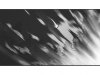 everlight_061