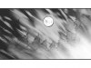 everlight_062