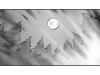 everlight_063