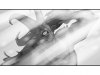 everlight_064