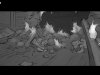 Creel_020a_06